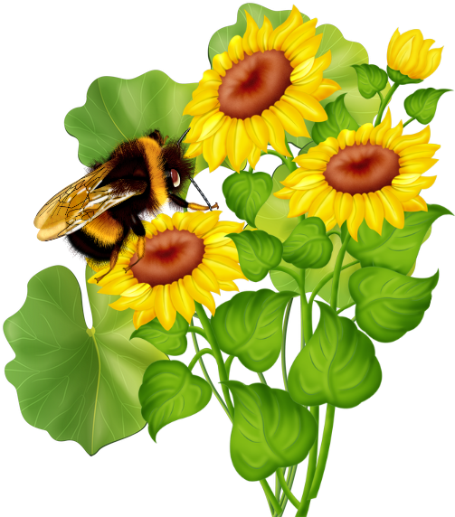 Sunflowers Animals - Sunflower (642x595)