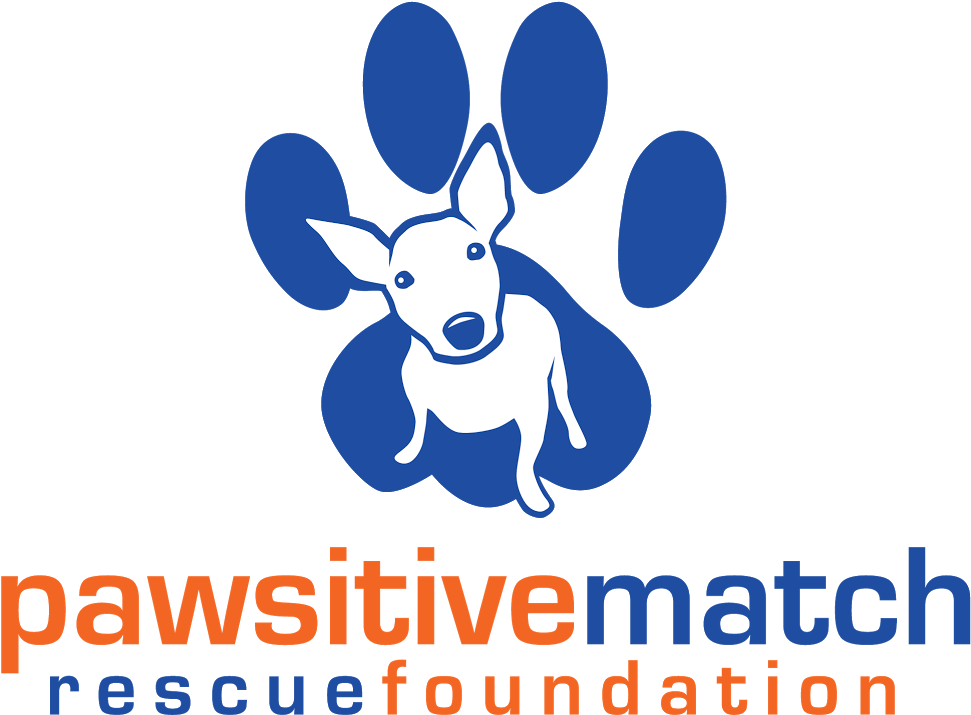 Pawsitive Match Rescue Foundation - Pawsitive Match Rescue Foundation (1018x779)