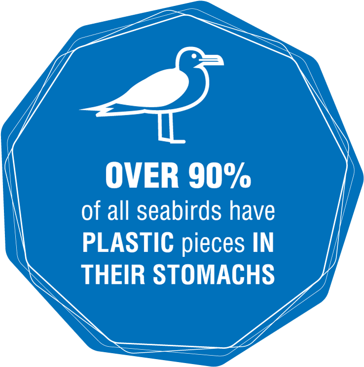 Over 90% Of All Seabirds Have Plastic Pieces In Their - Plastic Ocean Facts (750x750)