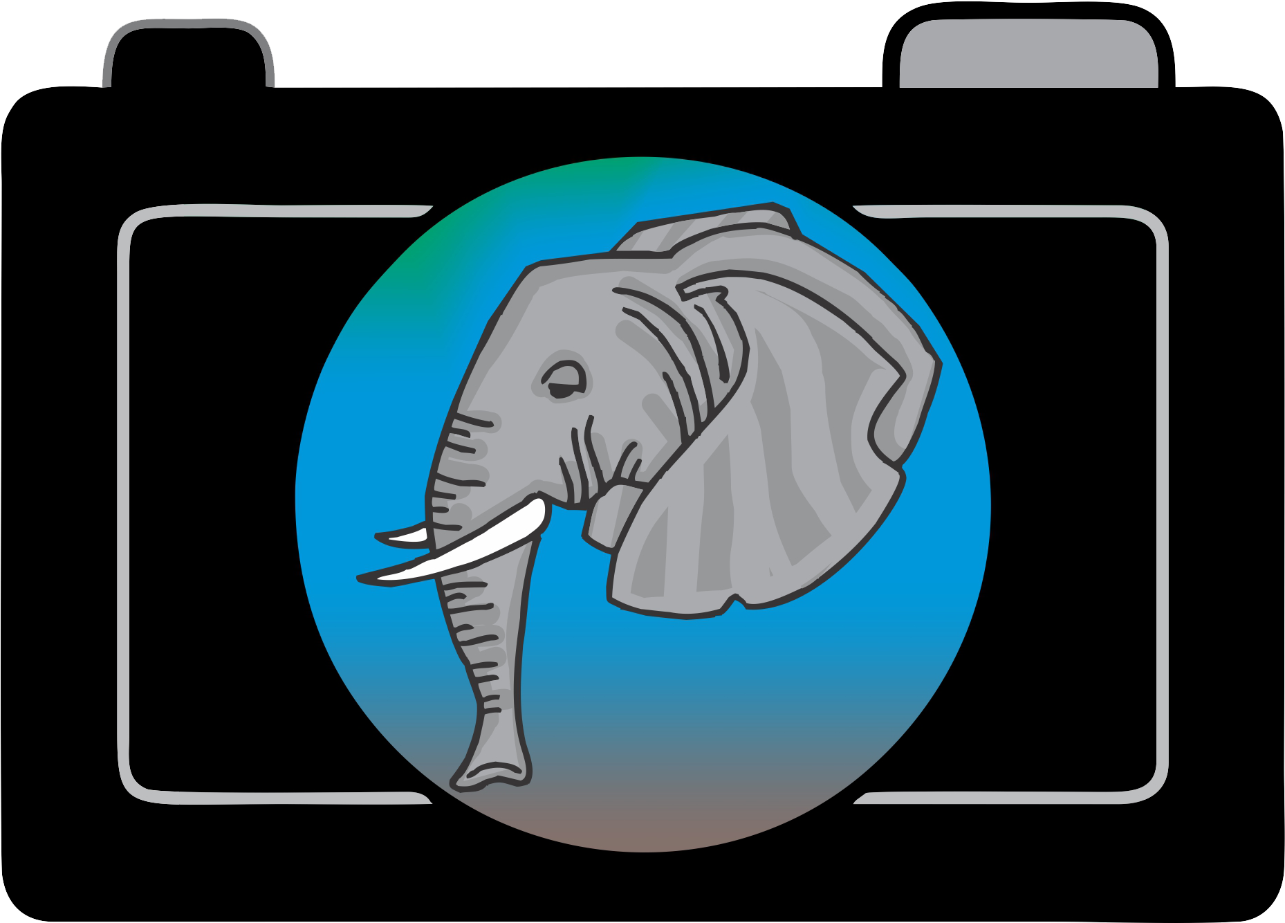 An Elephant Is Reflected In A Camera Lens - Indian Elephant (2065x1355)