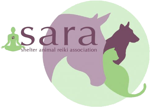 Shelter Animal Reiki Association - Shelter Animal Reiki Association (604x404)
