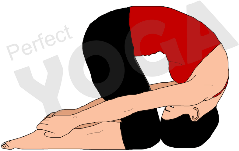 Shashankasana Or The Rabbit Act Is Supposed Like The - Illustration (900x900)