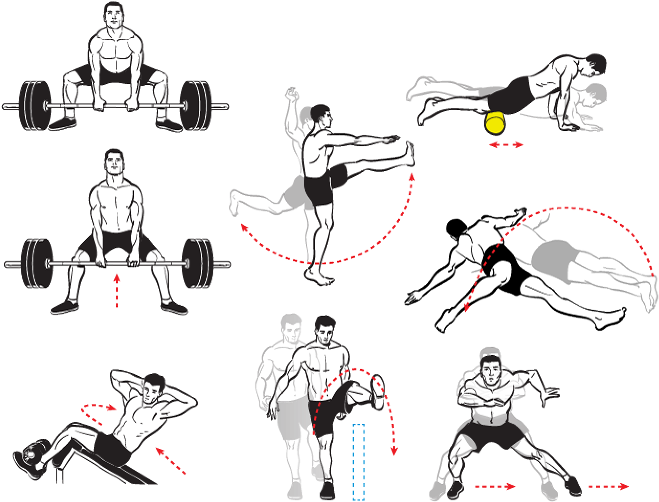 Exercise Bench Clipart Tumblr Transparent - Cartoon (670x512)