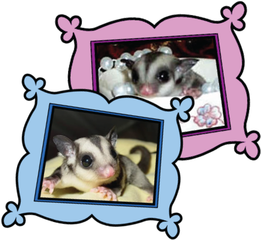 Personalized Glidersafe Delivery Adoption Package - Adoption (600x577)