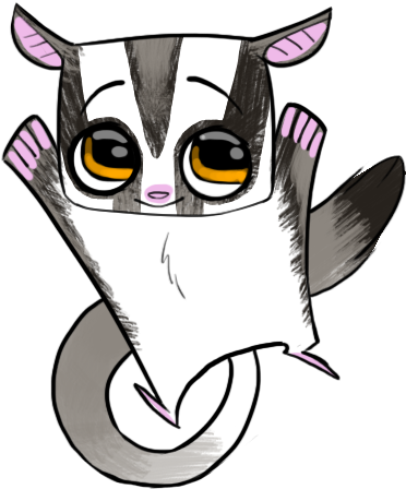 Sugar Glider Flying Drawing - Sugar Glider Cute Animation (500x500)