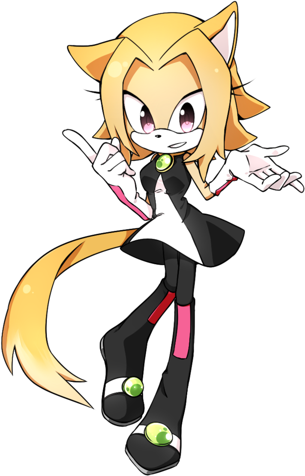 Anna The Cat By Yukiblue94 - Sonic The Hedgehog Amy Oc (774x1032)