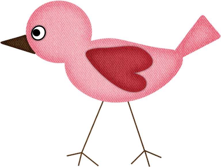 Birds ‿✿⁀○ - Bird (800x620)