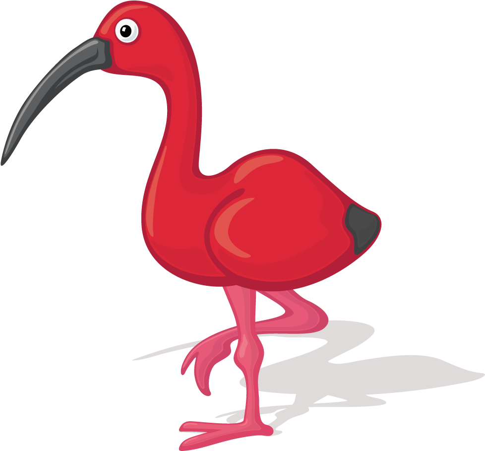 Bird Ibis Cartoon Illustration - Illustration Ibis (1000x1000)