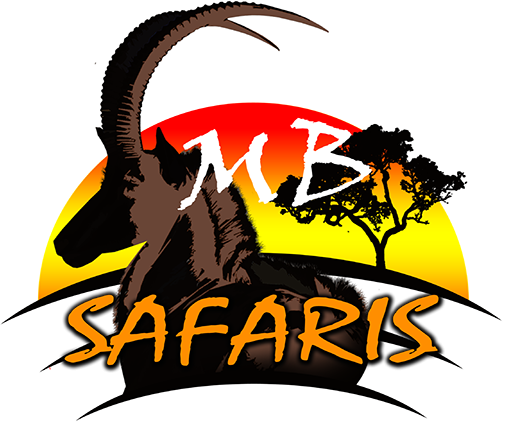 This Is The Logo Of Mb Safaris Located In Limpopo, - Tree (506x426)