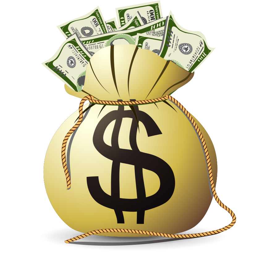 United States Congress Power Of The Purse Producer - Money Bag (900x824)