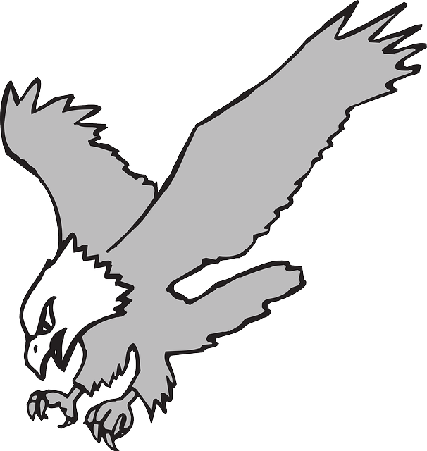 Hunting Eagle, Bird, Color, Wings, Art, Hunting - Eagle Clipart Black And White (606x640)