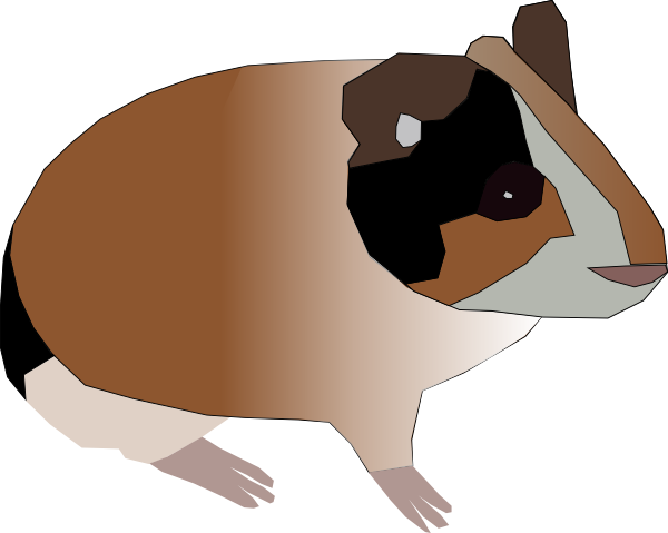 Animated Guinea Pig Clipart Free Clip Art Images - Clip Art (600x479)