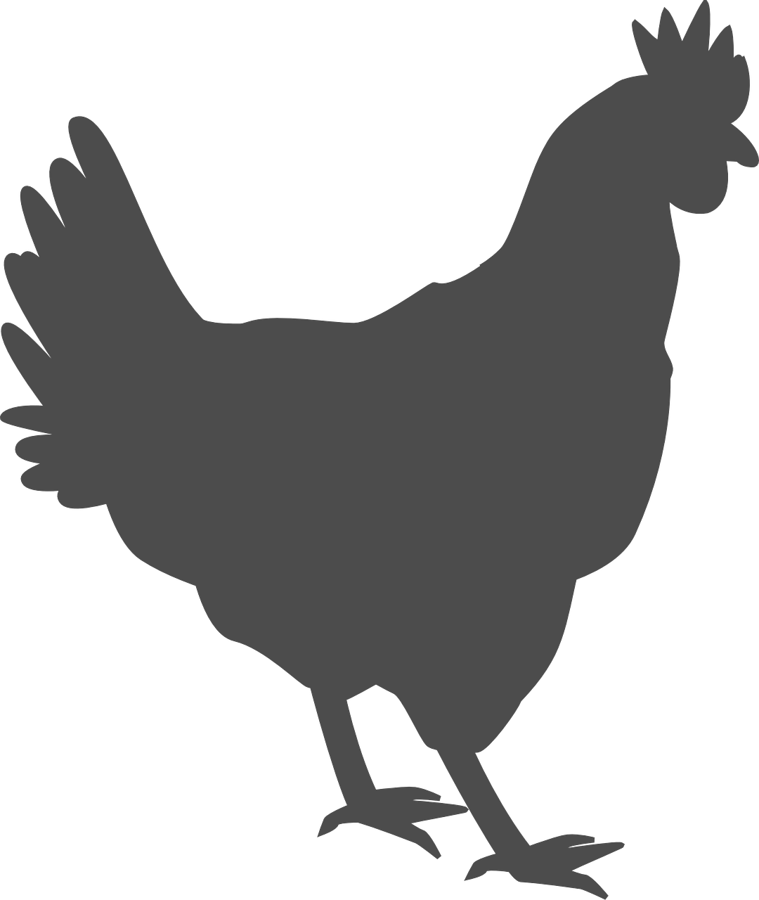 Hen Chicken Poultry Fowl Farm Transparent Image - Chicken Silhouettes (1080x1280)