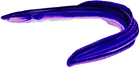 September 21 (500x250)