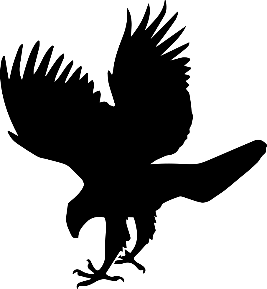 Hawk Bird Animal Shape Comments - Hawk Png (906x981)