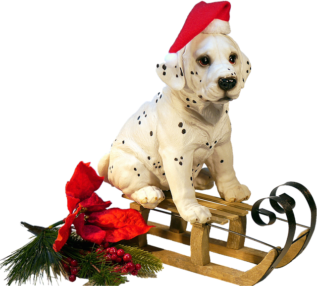 Isolated, Dog On Sledge, Christmas, Winter - Christmas Dog Transparent Png (640x577)
