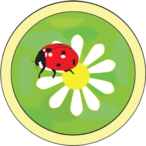 Ladybug Quilt Pattern - Ladybug Quilt Pattern (511x518)