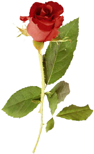 19th Century Gentleman Mousepad (306x502)