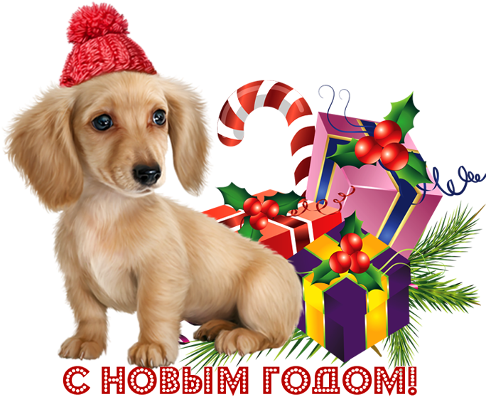 Поздравляем С Новым Годом Режим Работы На Праздники - Новогодние Картинки 2018 В Год Собаки (698x571)