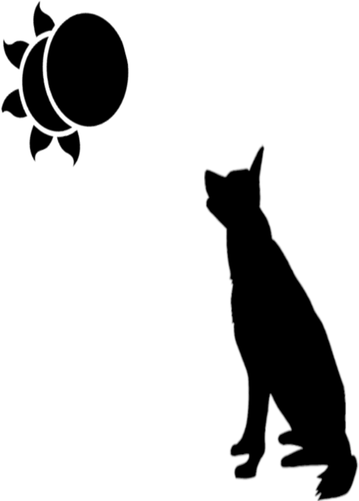German Shepherd Eclipse - Cat Yawns (712x1000)