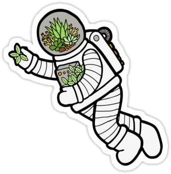 Astro Terrarium Pattern By Evannave - Book Stickers (375x360)