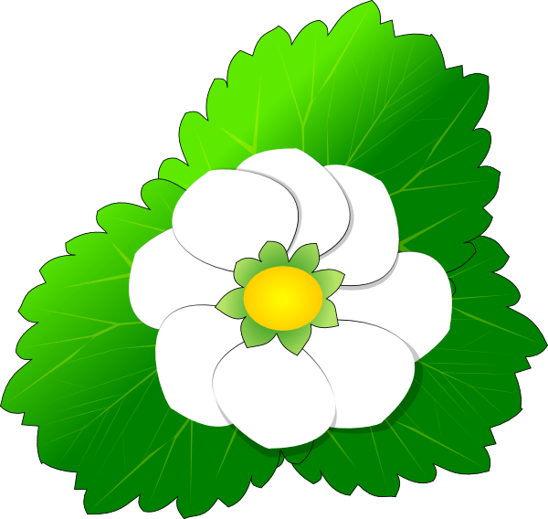 Strawberry Flower Clip Art At Clker - Clip Art (600x568)