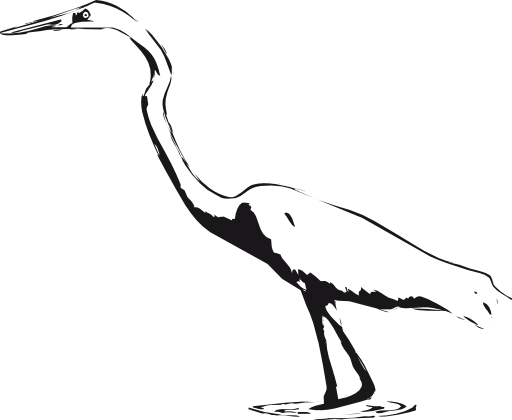 Egret Clipart Cattle Egret - Whooping Crane Black And White (512x420)