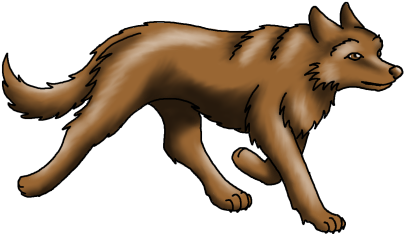 Alaskan Husky - 9 Puppies - Red Fox (416x312)