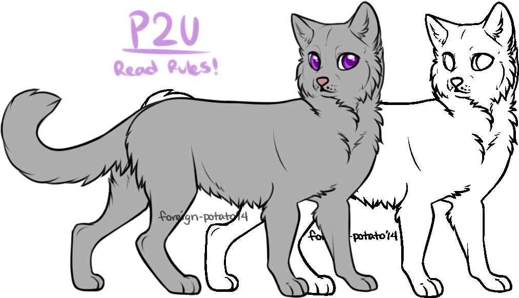 Cat Bases For Firealpaca (1035x584)