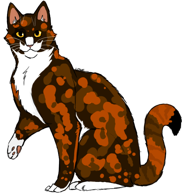 "im Sick Of All This Pointless Fighting " - Warrior Cats Spottedleaf Lithestep (649x697)