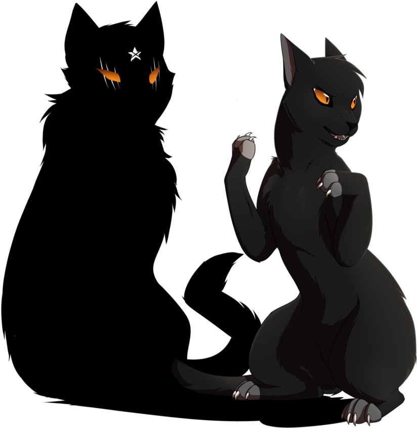 Breezepelt Anti You - Black Cat (869x919)
