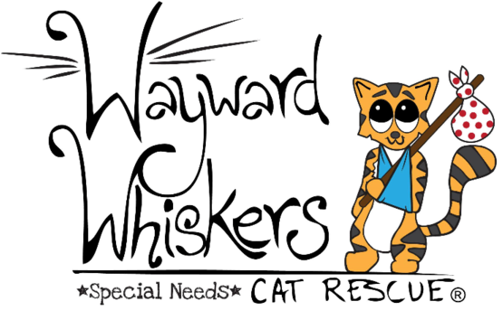 Wayward Whiskers Cat Rescue - Cat (600x600)