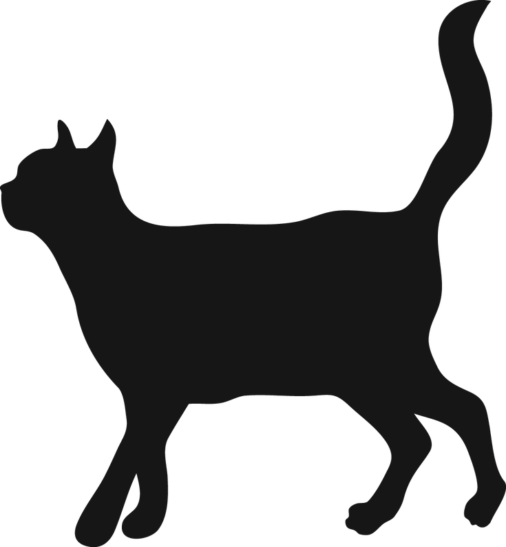Silhouette Of Adult Cat Walking - Cat (735x794)