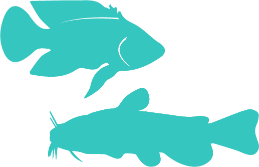 100% - 100% (517x333)