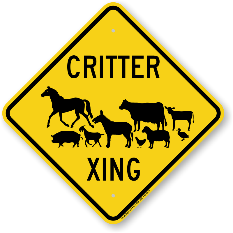 Critter Xing Animal Crossing Sign - Funny Passed Driving Test (800x800)