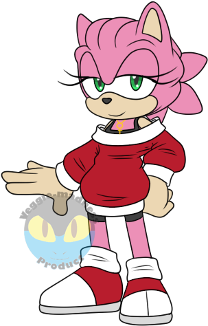 Older Amy Rose - Blaze The Cat Older (311x482)