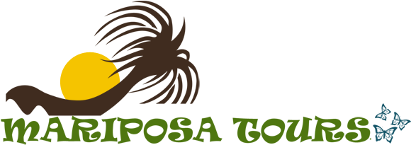 Beach At Dawn - Una Toma De Conciencia...: Tres Veces Al Dia (600x221)