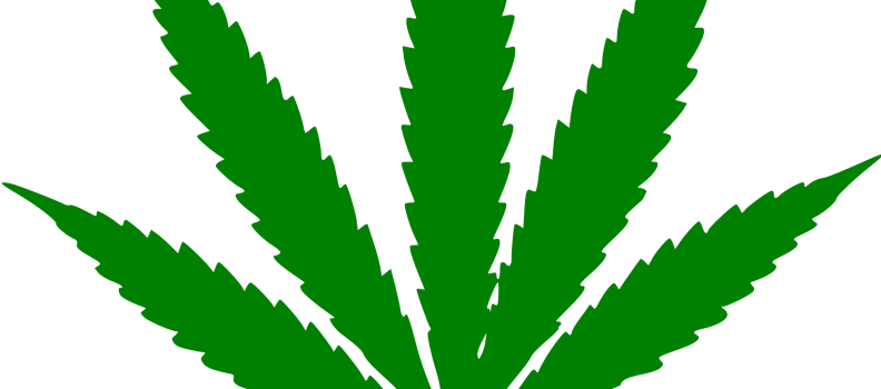 Superior Court Of Justice Grants City Of Toronto Interim - Marijuana Leaf Outline (792x350)