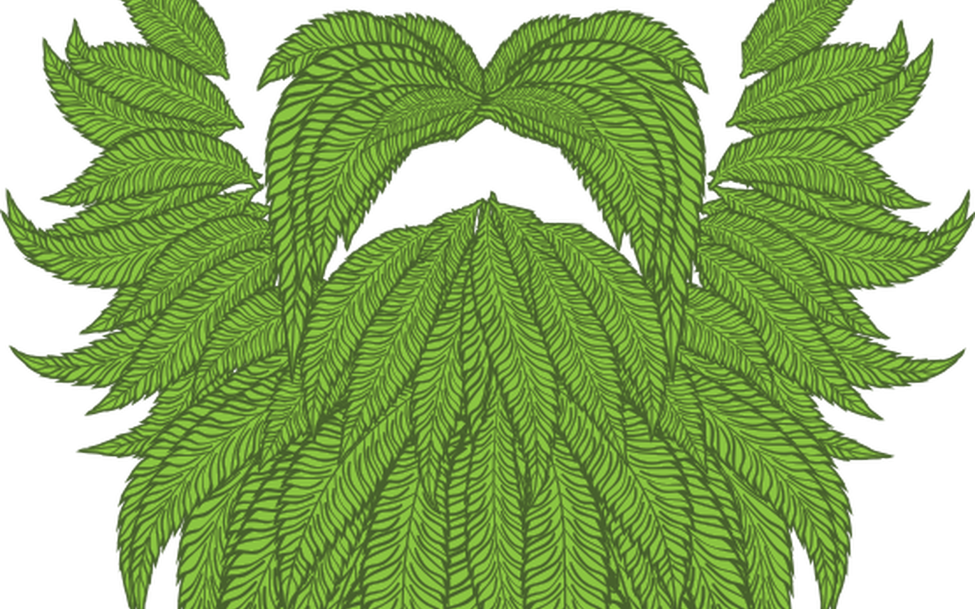 Origens Cannabis Home Of Daddy Fat Sacks Spokane Washington - Origens Cannabis Home Of Daddy Fat Sacks Spokane Washington (1368x855)