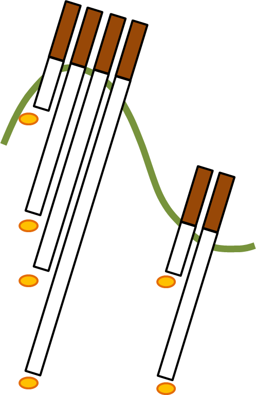 Plant Available Nutrients At Spruce - Plant Available Nutrients At Spruce (498x769)