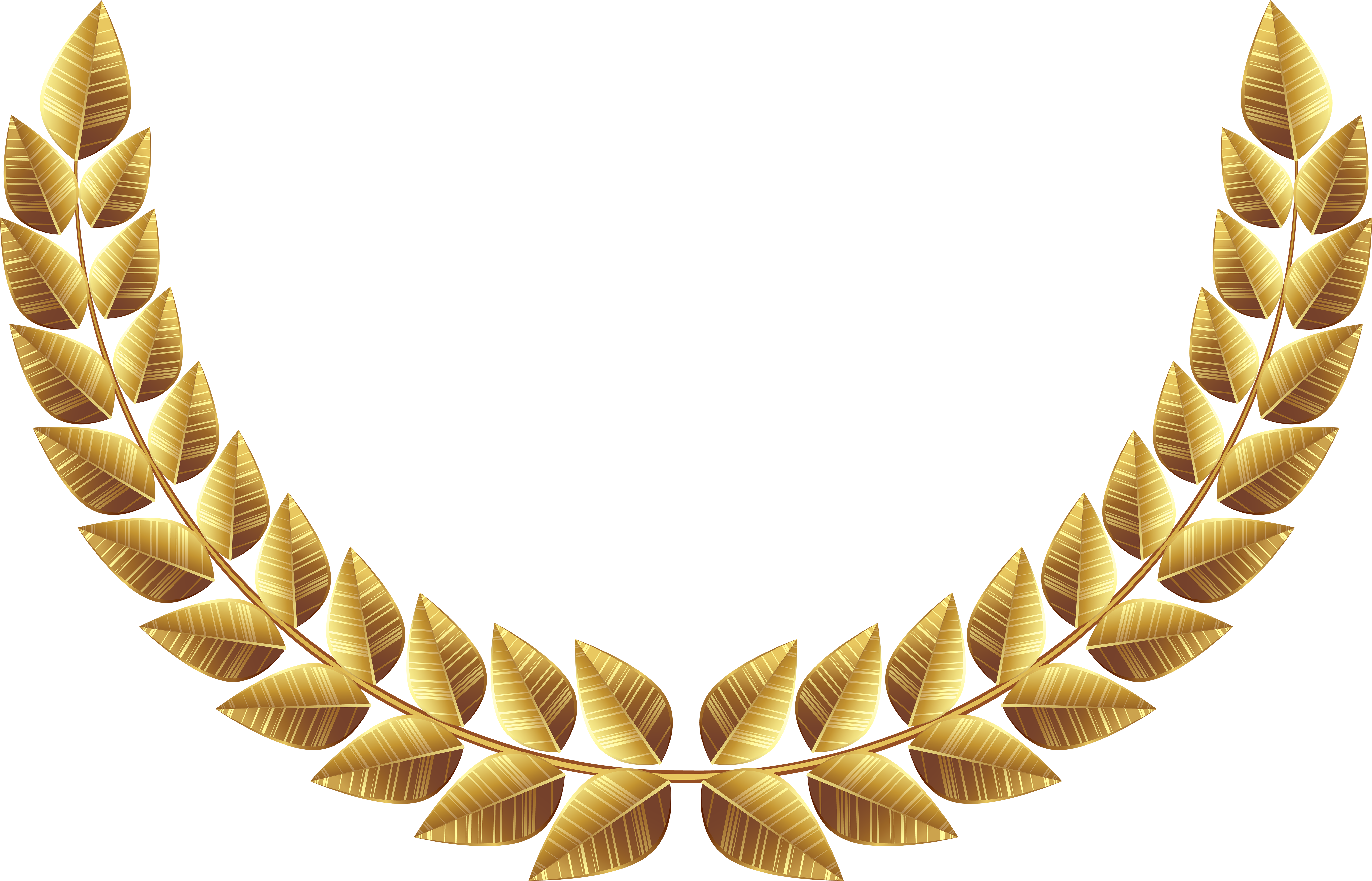 Laurel Wreath Bay Laurel Clip Art - Laurel Png (7000x4549)