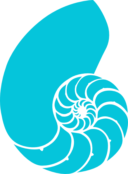 Green And Blue Nautilus Shell Clip Art At Clker Com - Seashell Clipart (438x595)