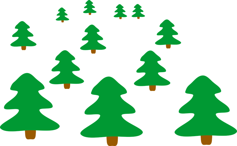 Xmas Tree Silhouette 24, - Christmas Tree (960x593)