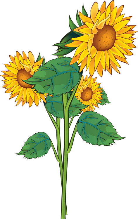 Yellow Flower Clipart Sunflower Bouquet - Summer Flower Clipart (472x750)