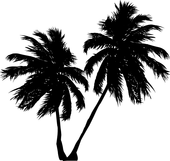 Beach, Palm Trees, Ocean - Coconut Tree Vector (576x547)