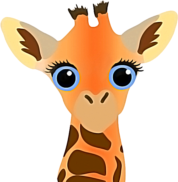 Clip Art Northern Giraffe Drawing Dessin Animé - Deer (800x800)
