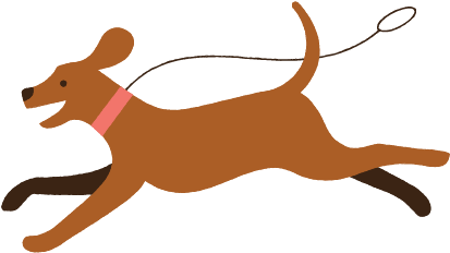 Pictures Of John Lewis Dog Insurance - Dog Cover (650x273)