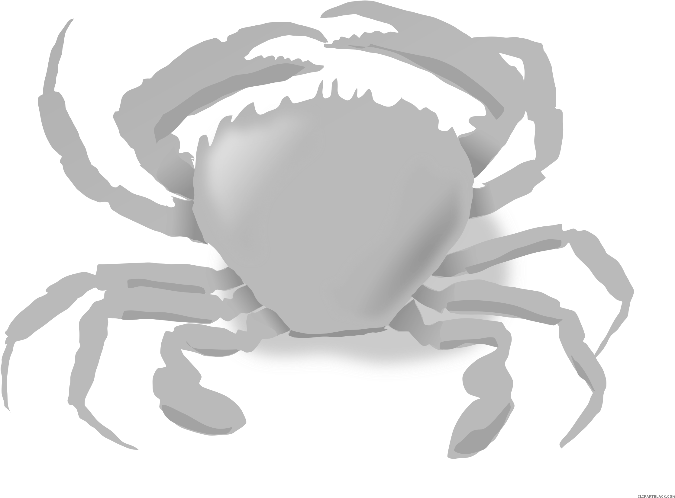 Crab Animal Free Black White Clipart Images Clipartblack - Blue Crab Clip Art (2400x1800)