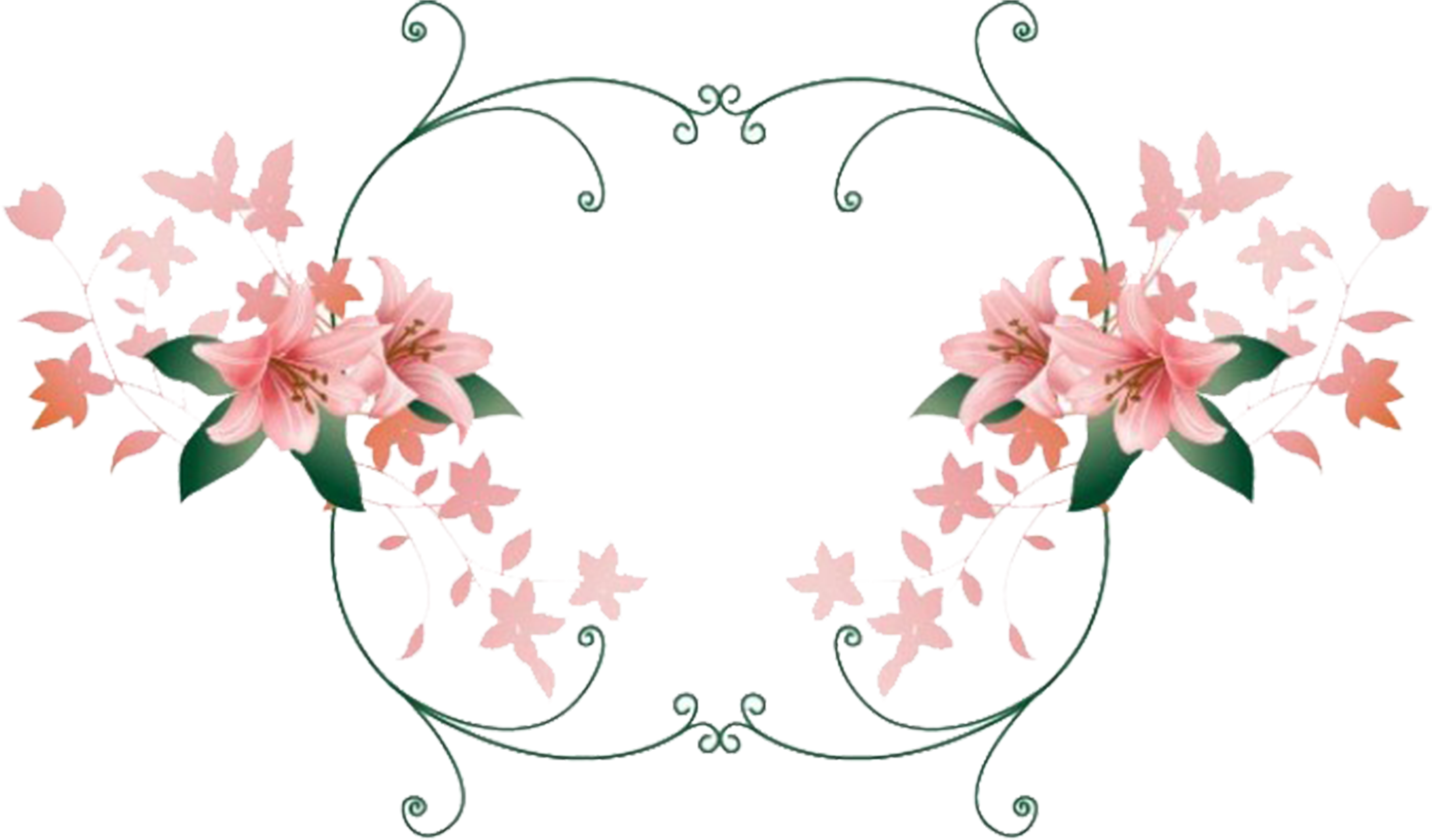 Lilium Flower Illustration - Lilium Flower Illustration (4860x3215)