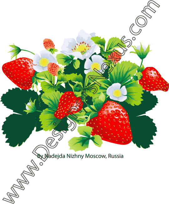 Grape Vine Clipart Etc Image - Clip Art (612x792)